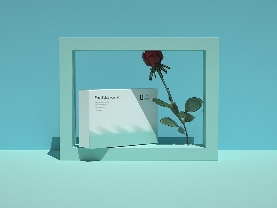 生物醫(yī)藥包裝盒_山東包裝盒廠_濟(jì)南恒印包裝盒有限公司 生物醫(yī)藥包裝盒_山東包裝盒廠_濟(jì)南恒印包裝盒有限公司